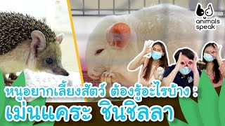 หนูอยากเลี้ยงสัตว์ ต้องรู้อะไรบ้าง : เม่นแคระ ชินชิลลา | Animals Speak