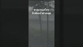 #สำรวจโลก #doxzilla #สารคดี #สารคดีสัตว์โลก