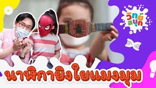 นาฬิกายิงใยแมงมุม | วิทย์สนุก