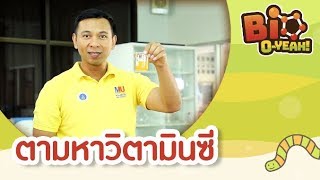 ตามหาวิตามินซี | Bio O-YEAH! [by Mahidol Kids]