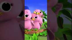 5 Little Birds  ?️? #LBB #Short #birdsong