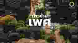 สารคดี สำรวจโลก ตอน ก้าวข้ามเพศ