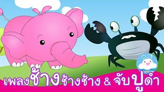 เพลงช้างๆๆ น้องเคยเห็นช้างหรือเปล่า & เพลงจับปูดำขยำปูนา เพลงเด็กสนุกๆ by KidsOnCloud