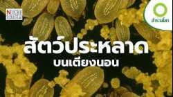 เมื่ออากาศหายใจที่เต็มไปด้วยสัตว์ประหลาด | สารคดี สำรวจโลก