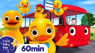5 Little Ducks On A Bus | +More Nursery Rhymes | ABCs and 123s | Little Baby Bum