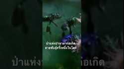 ดูสารคดีเต็มกด Created from @nextstepwave #สำรวจโลก #doxzilla #สารคดี #สารคดีสัตว์โลก