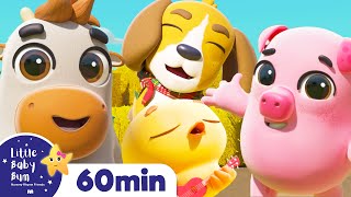 Little Baby Bum Friends - Animals | +More Nursery Rhymes  | ABCs and 123s | Little Baby Bum