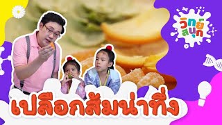 เปลือกส้มน่าทึ่ง | วิทย์สนุก