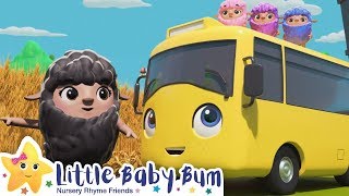 Buster and Baa Baa Rainbow Sheep | Nursery Rhymes | Go Buster | ABCs and 123s