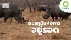 ต่อสู้เพื่อความอยู่รอดในโลกที่ไม่เคยปรานี | สารคดี สำรวจโลก