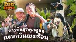 ภารกิจสุดคูลดูแลเพนกวินเขตร้อน | Zookeeper