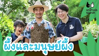 ผึ้งและมนุษย์ผึ้ง | Animals Speak