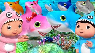 BABY SHARK! Nursery Rhymes and Kids Songs! Little Baby Bum Songs! Wheels On The Bus! PopToy