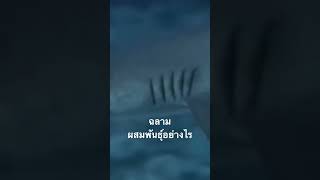 #สำรวจโลก #doxzilla #สารคดี #สารคดีสัตว์ #สารคดีสัตว์โลก