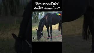 "ศิลปะบนหลังม้า" ต้องใช้ม้าลักษณะไหน? #Shorts