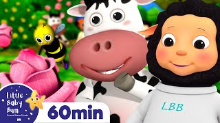 Ring Around The Rosy +More Nursery Rhymes and Kids Songs | Little Baby Bum