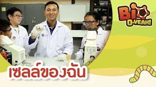 เซลล์ของฉัน | Bio O-YEAH! [Mahidol Kids]