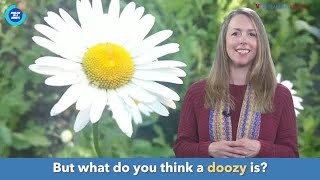 English in a Minute: Doozy