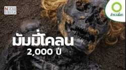 หนองน้ำแห่งความตาย ความลับดำมืดจากยุคเหล็ก | สารคดี สำรวจโลก มัมมี่แห่งโคลน