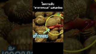 ไขความลับ "อาหารทะเล" แสนอร่อย #Shorts