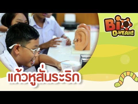 แก้วหูสั่นระริก | Bio O-YEAH! [by Mahidol Kids]