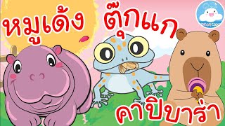 เพลงเด็กหมูเด้ง ตุ๊กแก คาปิบาร่า เพลงเด็กน้อยวัยอนุบาล @KidsOnCloud