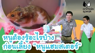 หนูต้องรู้อะไรบ้างก่อนเลี้ยง "หนูแฮมสเตอร์"  | Animals Speak [Mahidol Kids]