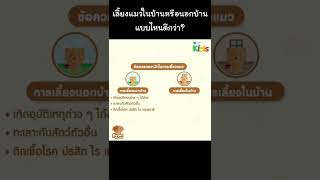 เลี้ยงแมวในบ้านหรือนอกบ้าน แบบไหนดีกว่า? #Shorts