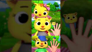 Finger Cat Family ?? #LBB #animalsong #fingerfamily
