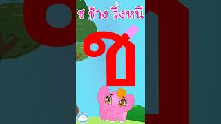 หัดเขียน ช ช้าง วิ่งหนี