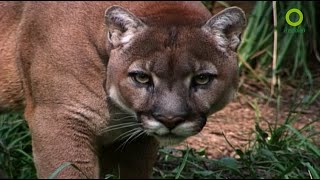 สารคดี สำรวจโลก ตอน มรดกจากธรรมชาติ