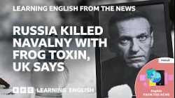 Russia killed Alexei Navalny with frog toxin, UK says: BBC Learning English from the News