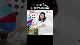 นำปลาใหม่ลงตู้ปลา ทำอย่างไร? #Shorts