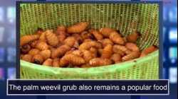 News Words: Opportunity