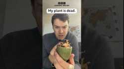 ? Don’t Cry Over Spilt Milk! Learn this phrase!