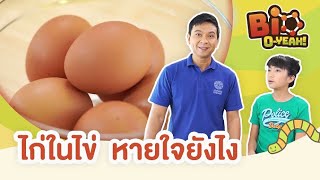 ไก่ในไข่  หายใจยังไง | Bio O-YEAH!