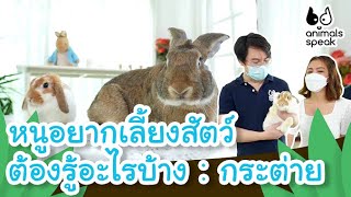 หนูอยากเลี้ยงสัตว์ ต้องรู้อะไรบ้าง : กระต่าย | Animals Speak