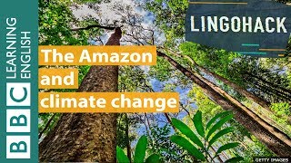 The Amazon and climate change - Lingohack