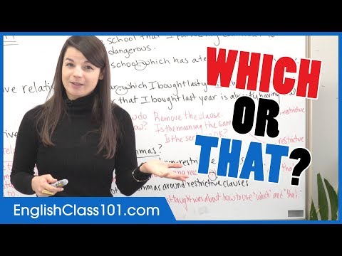 Which or That? Relative Clauses for Beginners - Basic English Grammar