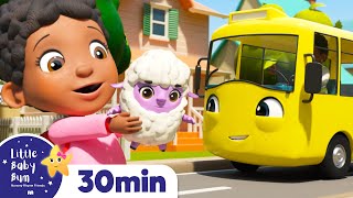 Mary Had a Little Lamb! | +More Nursery Rhymes | ABCs and 123s | Learn with Little Baby Bum