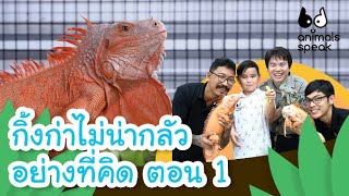 กิ้งก่าไม่น่ากลัวอย่างที่คิด ตอน 1 | Animals Speak [Mahidol Kids]