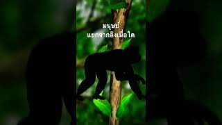 #สำรวจโลก #doxzilla  #สารคดี #สารคดีสัตว์ #สารคดีมีชีวิต #สารคดีสั้น