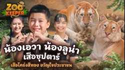 น้องเอวา น้องลูน่า เสือซุปตาร์ เสือโคร่งสีทอง ขวัญใจประชาชน | Zookeeper