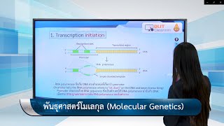 ติวสอบเรื่อง พันธุศาสตร์โมเลกุล – ชีววิทยา ม.4-6 (Part 3)