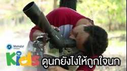 ดูนกยังไงให้ถูกใจนก เหมาะสำหรับผู้เริ่มต้นเป็นนักดูนก [Animals Speak by Mahidol]