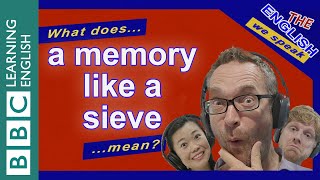 What does 'a memory like a sieve' mean?