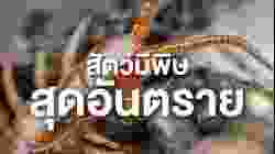 สารคดี สำรวจโลก ตอน สัตว์มีพิษสุดอันตราย