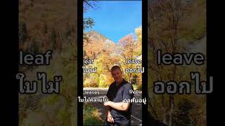 Leaf, Leaves, Leave, Live ออกเสียงต่างกันอย่างไร #อาจารย์อดัม #ภาษาอังกฤษ