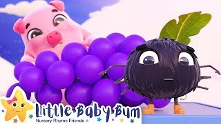 The Colors Song | Brand New Nursery Rhymes & Kids Songs ABCs - Songs For Kids Little Baby Bum