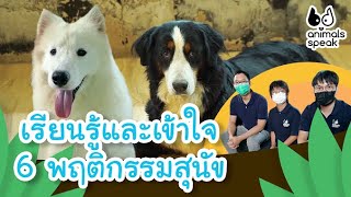 เรียนรู้และเข้าใจ 6 พฤติกรรมสุนัข | Animals Speak